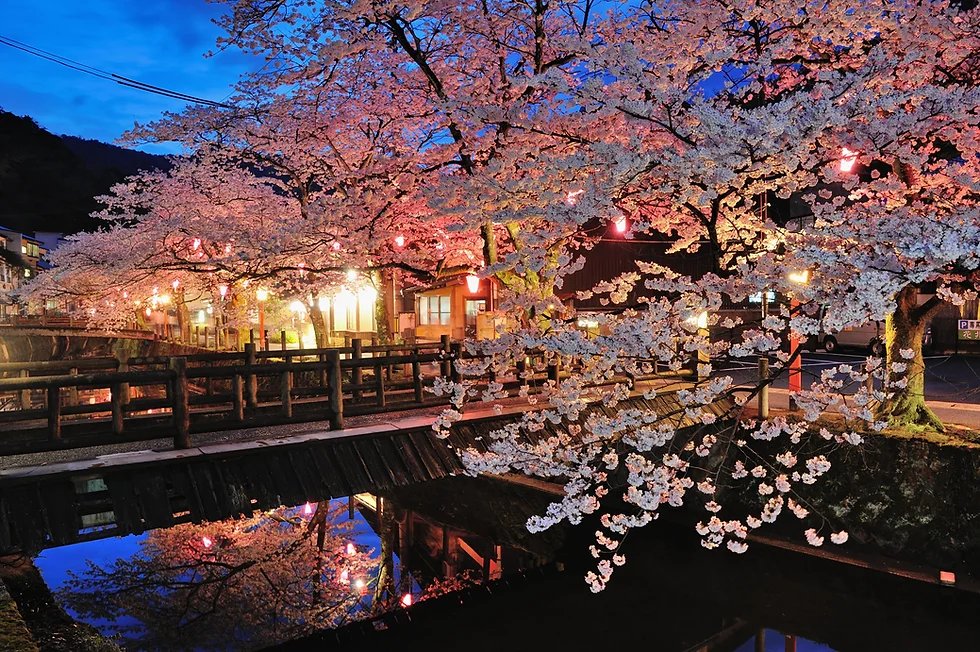 ♨️ 후레아이 족욕탕(후레아이노아시유) 이미지 8